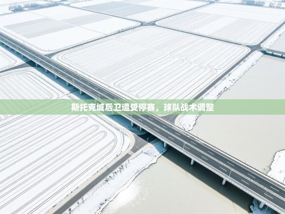 斯托克城后卫遭受停赛，球队战术调整  第1张