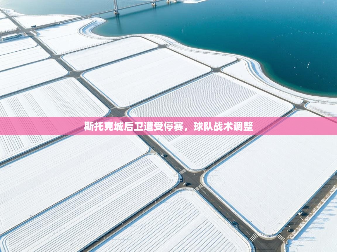 斯托克城后卫遭受停赛，球队战术调整  第2张